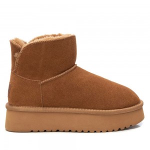 Botines Carmela 16200401 Mujer | 2934570-PU